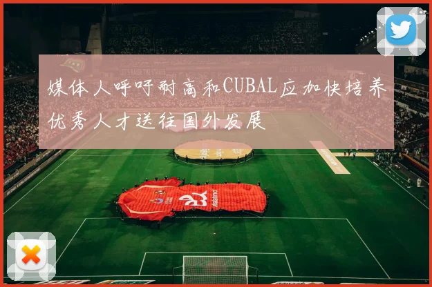 媒体人呼吁耐高和CUBAL应加快培养优秀人才送往国外发展