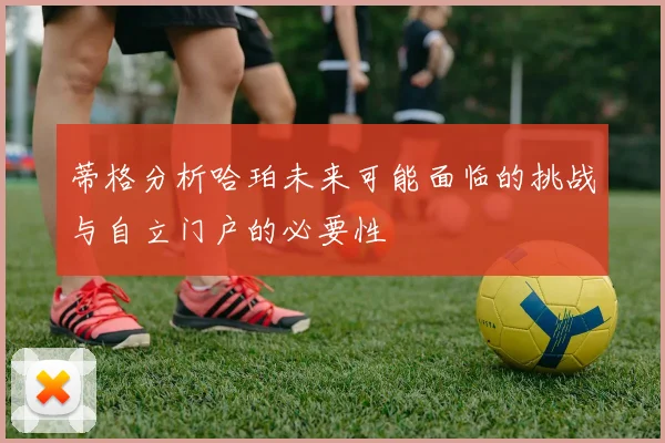 蒂格分析哈珀未来可能面临的挑战与自立门户的必要性