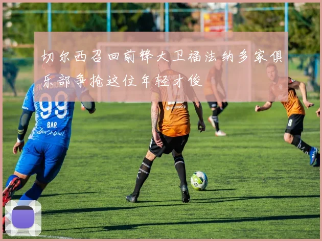 切尔西召回前锋大卫福法纳多家俱乐部争抢这位年轻才俊